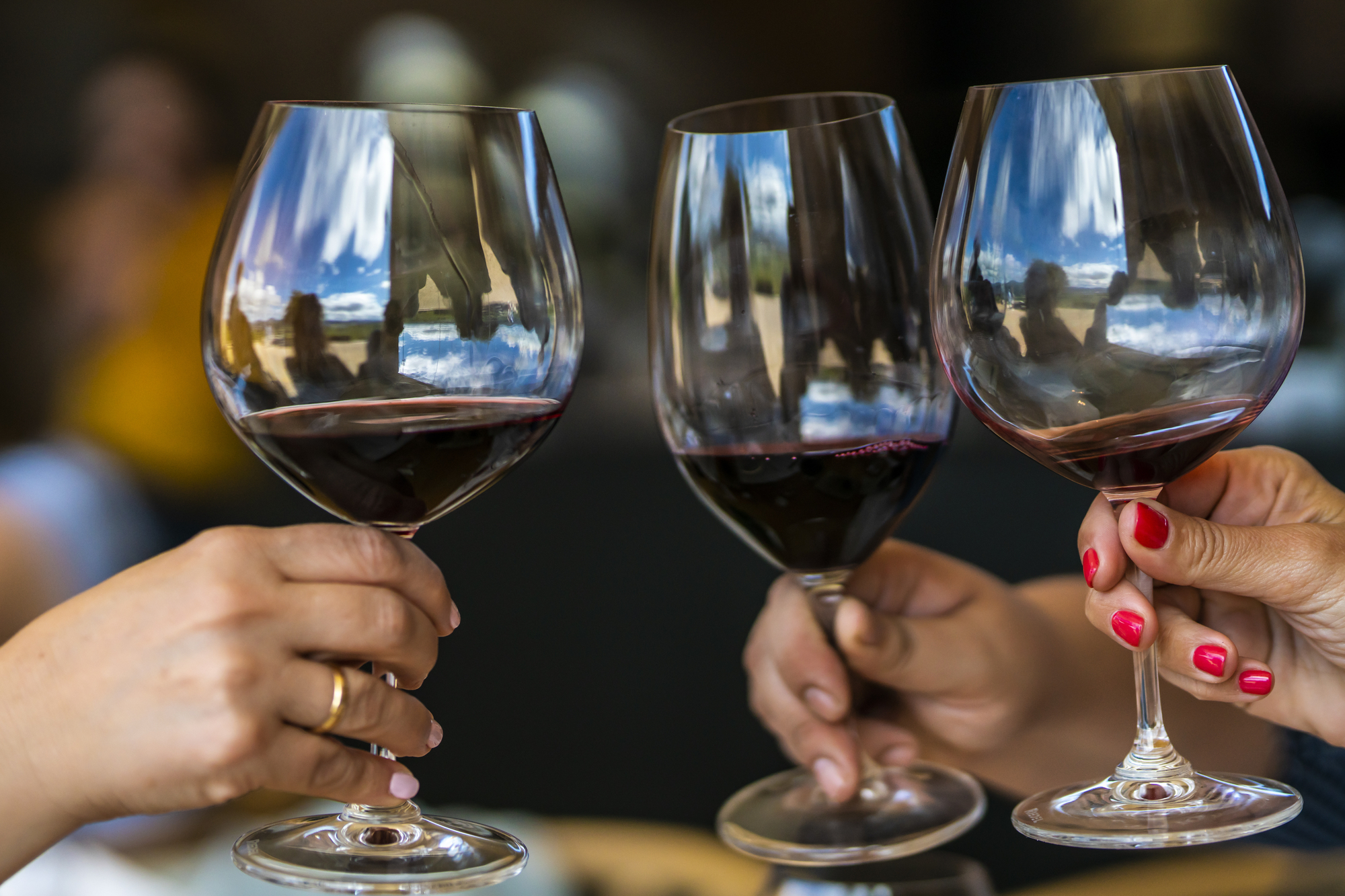 Sedona Wine Tours: Top 4 Wineries